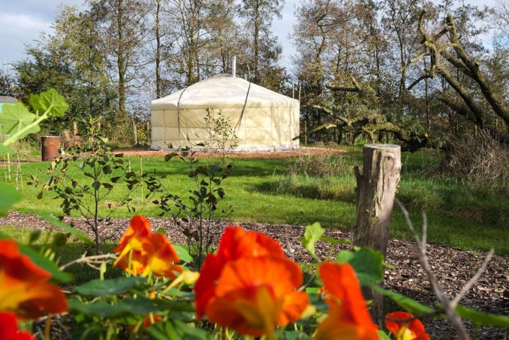 Yurt Klyndobbe Bed & Breakfast Veenwoudsterwal Ngoại thất bức ảnh